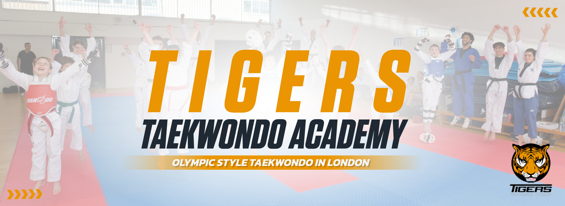 Tigers Taekwondo Academy photo